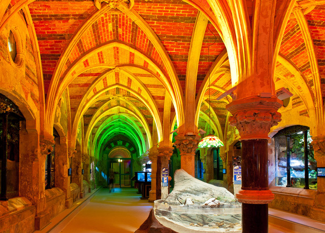 Schulfahrt Brighton: Aquarium Schulfahrt Brighton: Aquarium